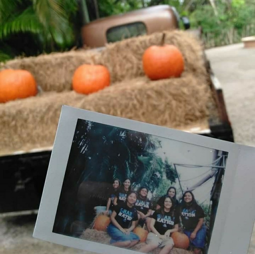 Meet your Posher, Jack